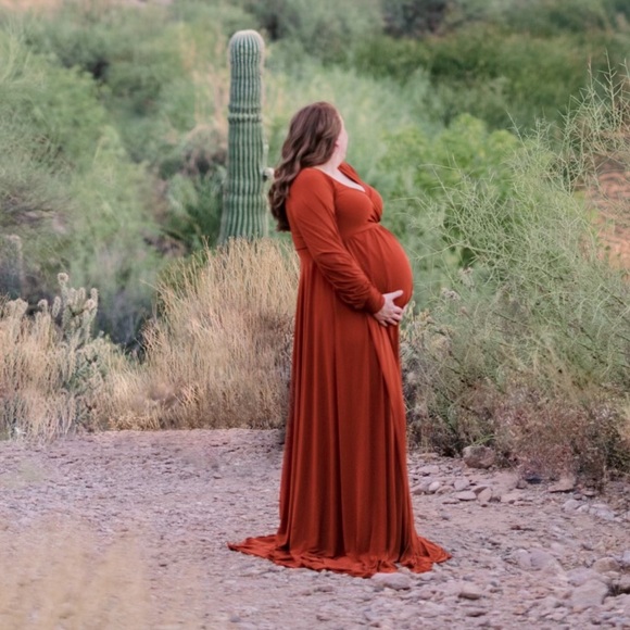 Rust Maternity Photo Dress - Picture 3 of 3